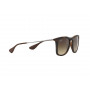 Square Shape RB4221 865/13